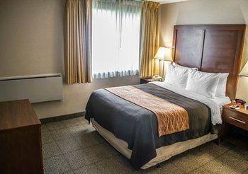 Comfort Inn Suites West Beaverton Pet Policy