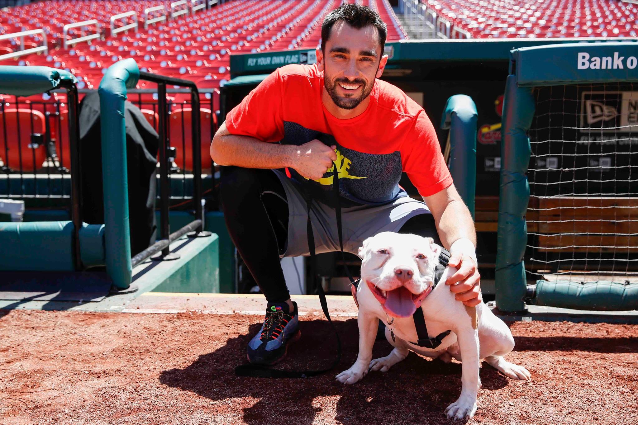 POSTPONED Purina Pooches in the Ballpark with the St. Louis Cardinals