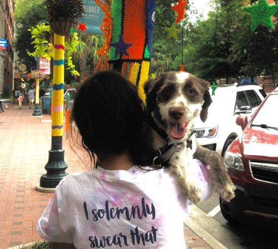 Pet Friendly First Thursdays on Main