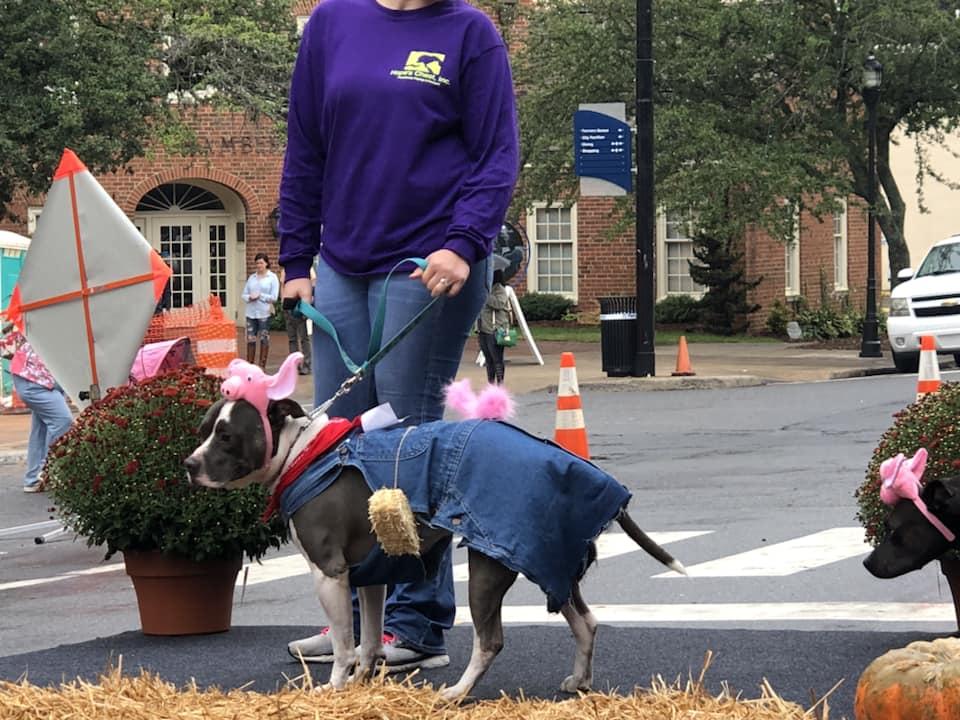 Mush Music And Mutts All the music we host is royalty and copyright free. mush music and mutts