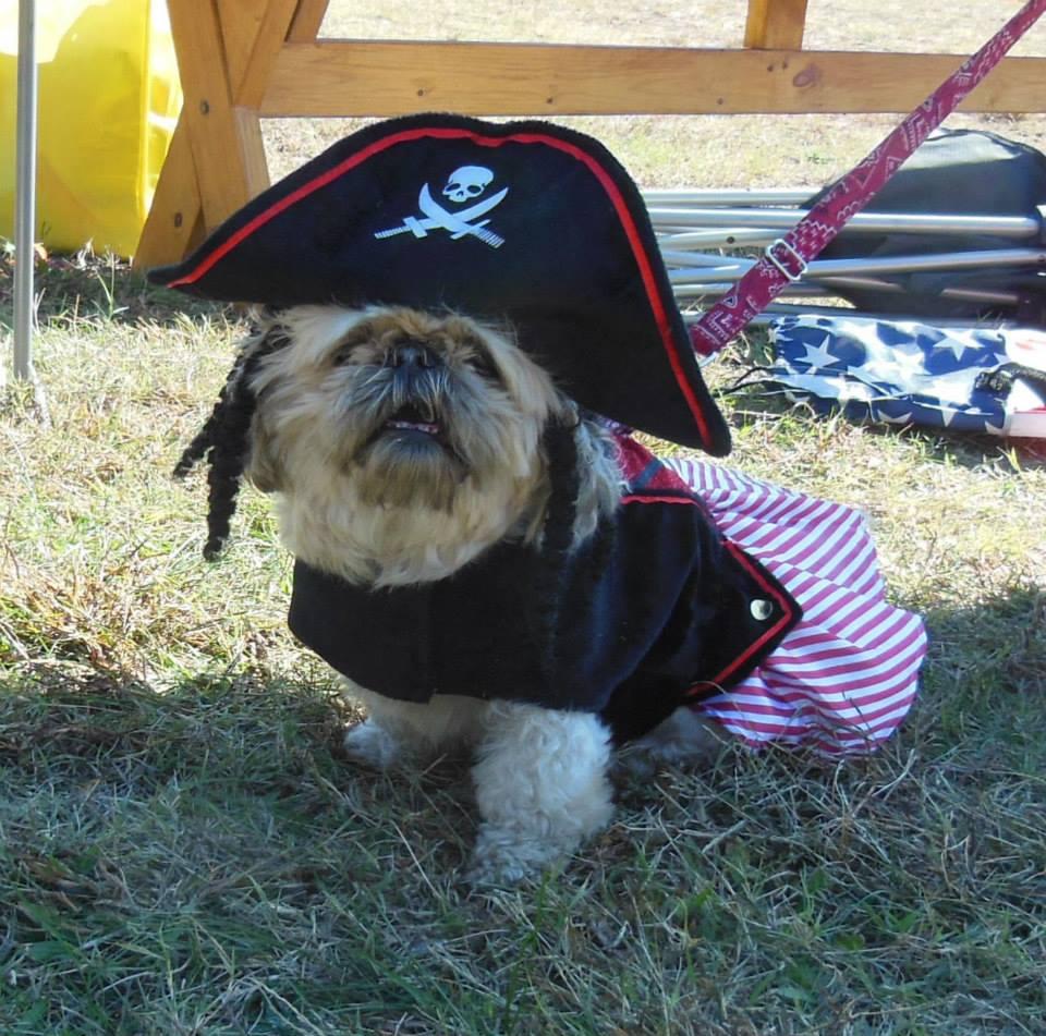 Pet Friendly Animal Appreciation Day & Pet Parade