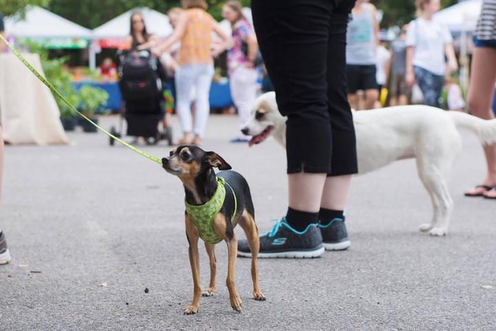 R0b2jfs32o6 Xm Pet Events Seattle May 2022