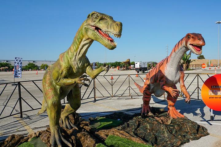 Dog Events In California Bringfido Dog Events Ca Bay Area 2022