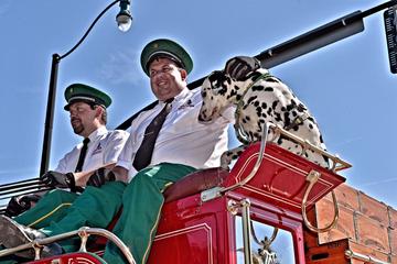 Savannah St Patrick S Day Parade 2022 Savannah St Patricks Day Parade 2022 List All Units