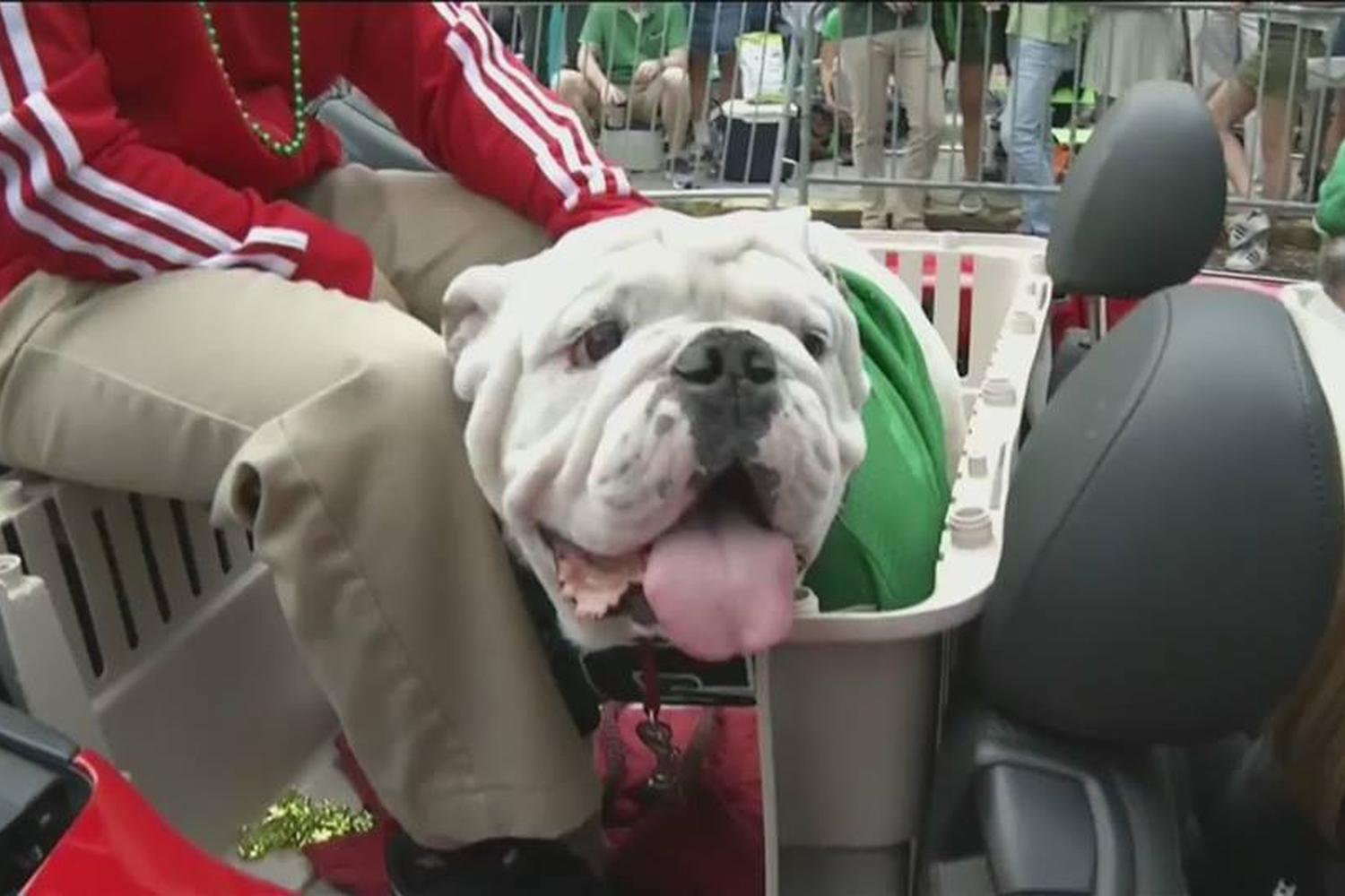 Savannah St Patrick S Day Parade 2022 St Patricks Day 2022 Savannah Ga