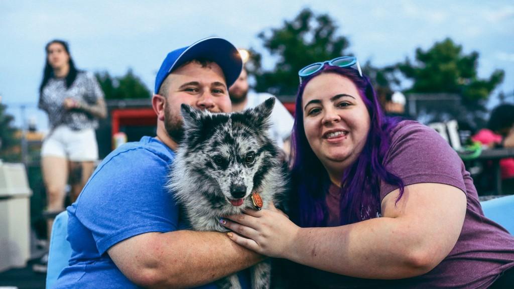 The Brooklyn Cyclones and VERG Brooklyn Team Up for Dog-Friendly Event 'Bark  in the Park' - BKReader