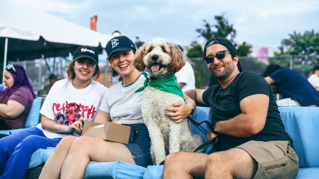 All Star Dogs: Brooklyn Cyclones Pet Products