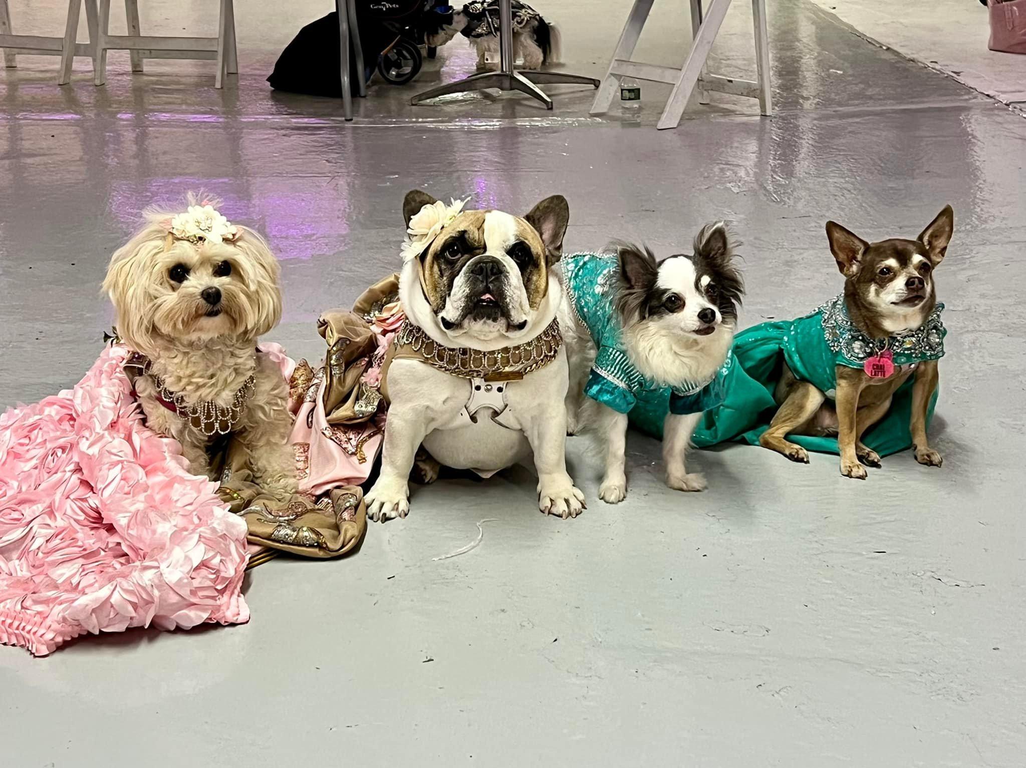Pet Friendly Puppy Prom