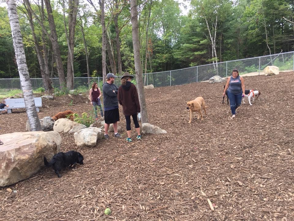dog park for sale