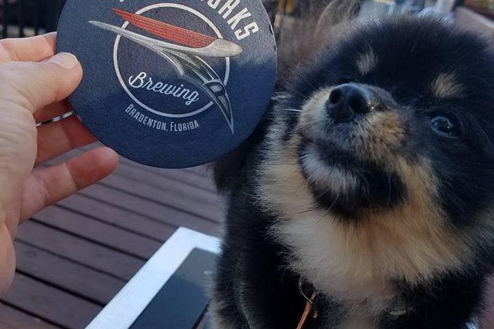 Pet Friendly Yappy Hour at Motorworks Brewing
