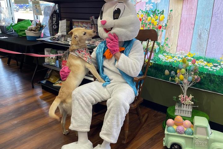 Pet Friendly Pictures with the Easter Bunny