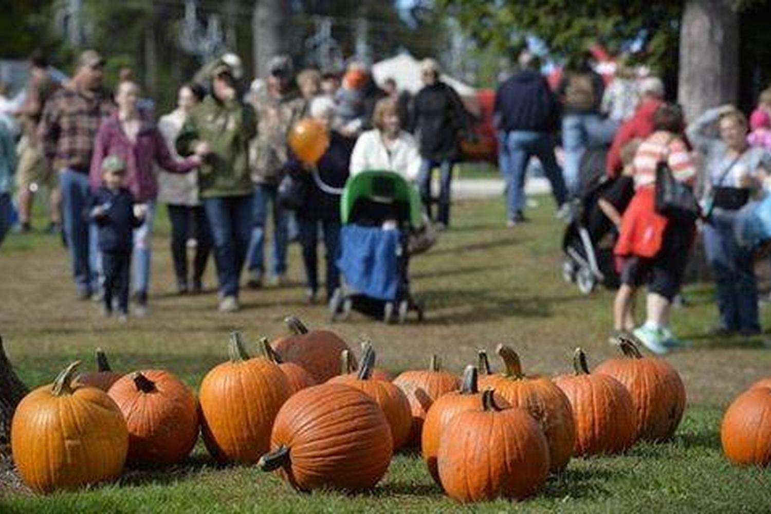 Canceled Findley Lake Harvest Festival Findley Lake Harvest Festival 2022