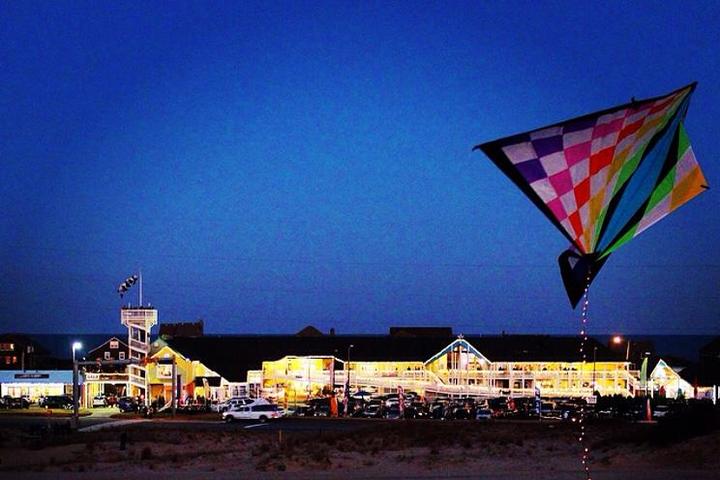 Pet Friendly Kites with Lights