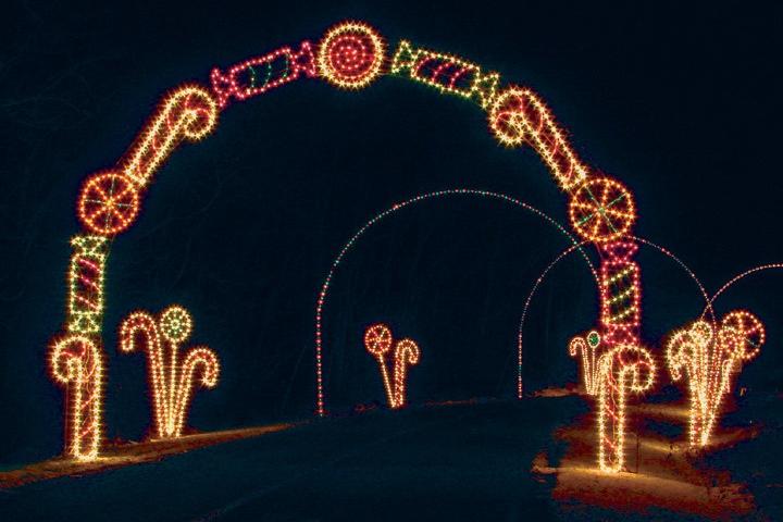 Pet Friendly Anderson Christmas Lights