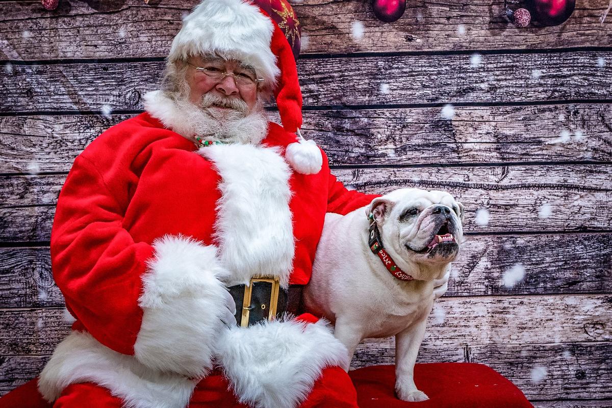 BringFido to Photos with Santa at PetPeople by Hollywood Feed