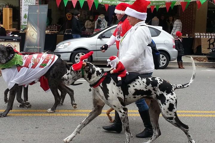 Pet Friendly WIVK Christmas Parade