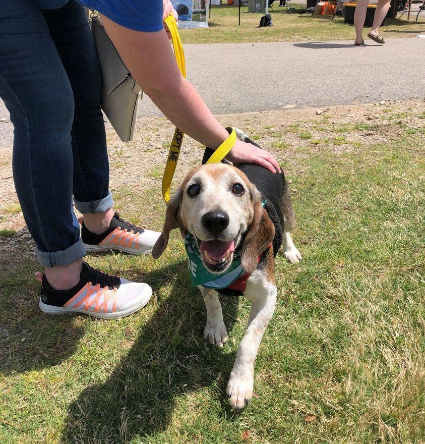 Dog Events Wake County May 2022