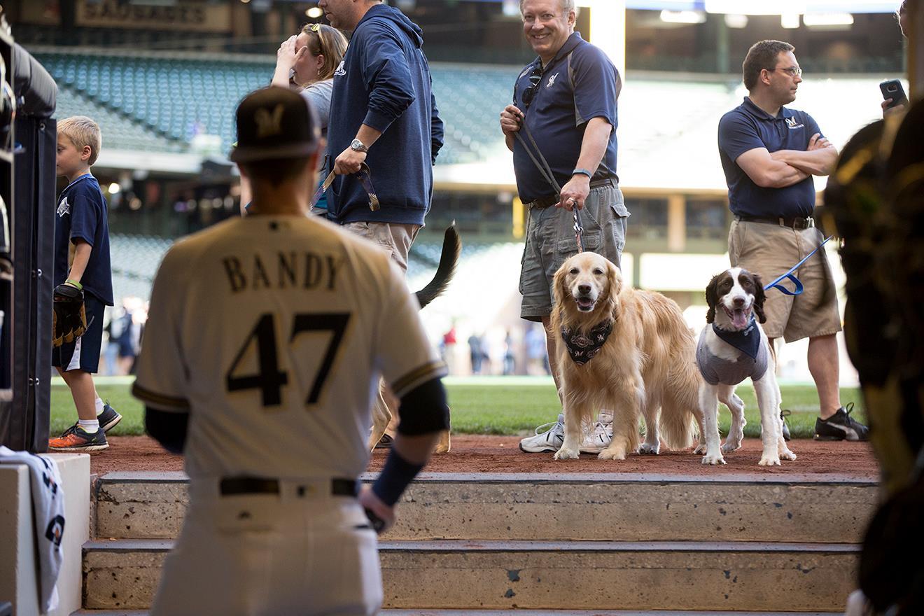 BringFido to Bark at the Park with the New York Mets