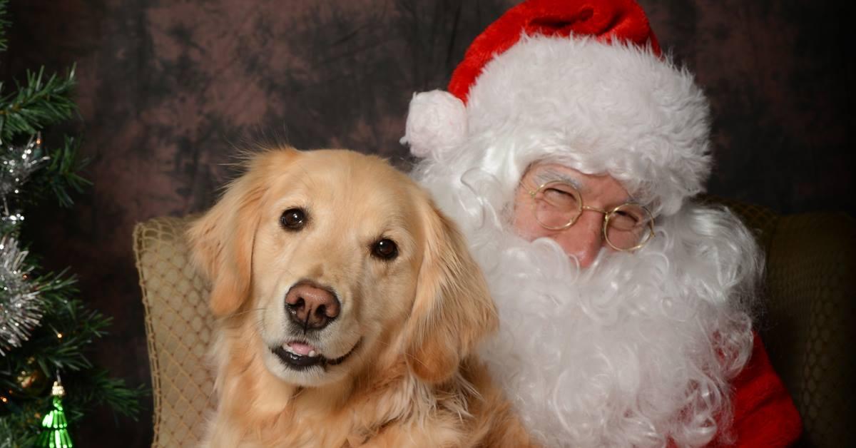 Picture Your Pet With Santa