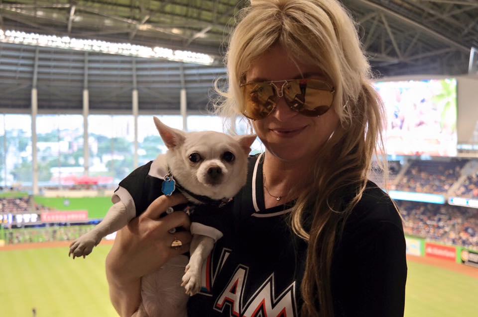 miami marlins dog jersey