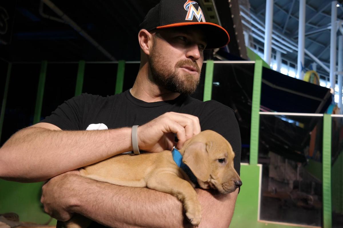 Blog About a Dog: Miami Marlins: Magnum Dog