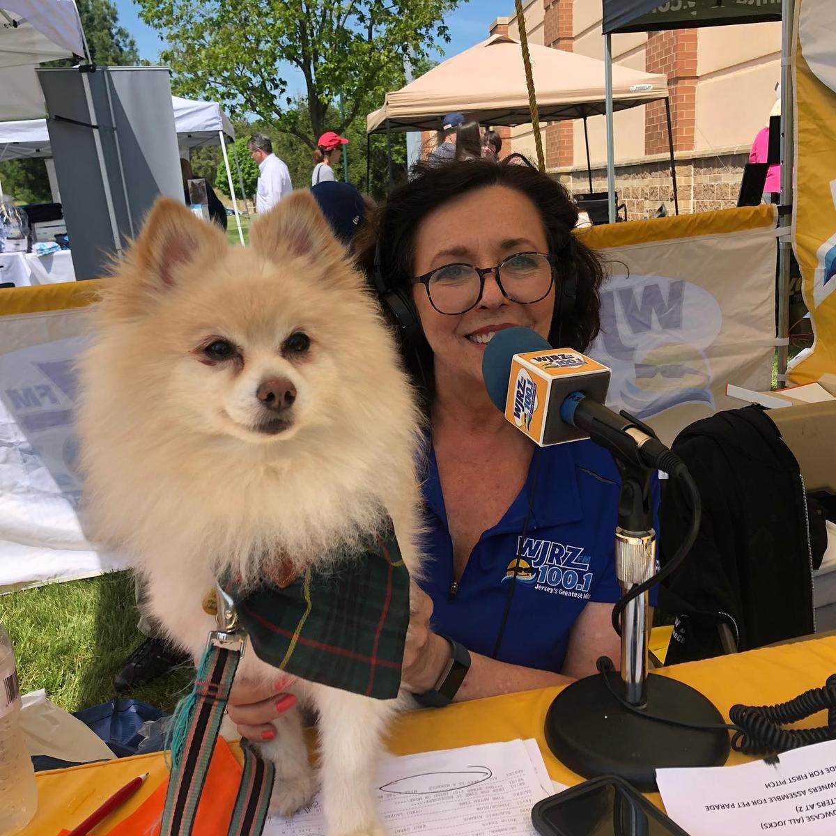 Bark in the Park at Lakewood BlueClaws stadium