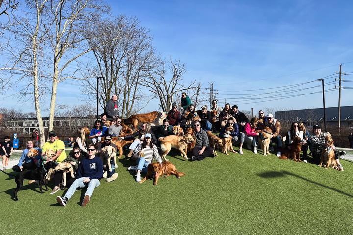Pet Friendly The Biggest Dog Meetup in St. Louis