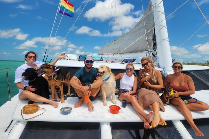 Pet Friendly Doggie Day Sails