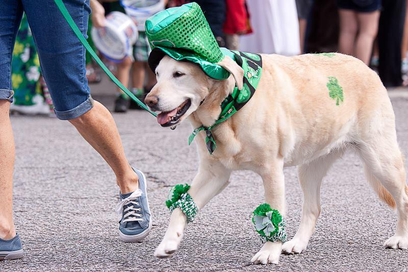 Pet Friendly Hilton Head Island St. Patrick's Day Parade