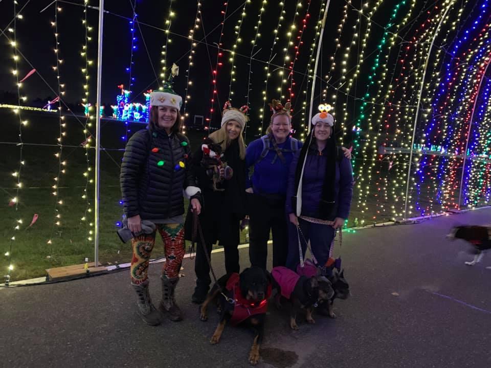Lights and leashes clearance