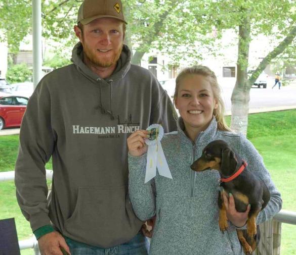 Pet Friendly Tuolumne Dachshund Derby