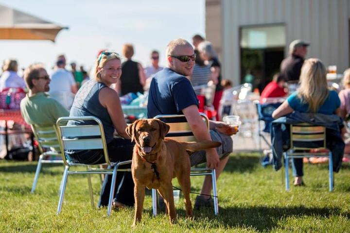 Pet Friendly Annual Barks for Parks