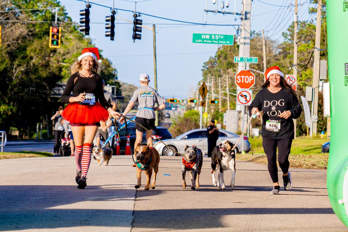 Florida dog fitness firm Swift Paws hits big revenue milestone — with  another quarter to go