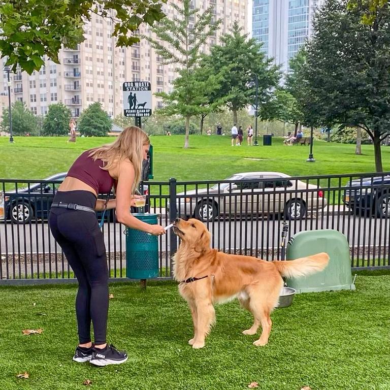 Pet Friendly Yappy Hour in Harbor Point Dog Park