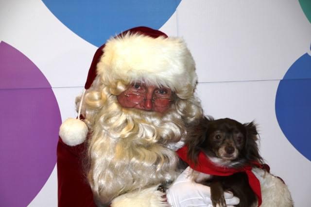 BringFido to Photos with Santa at Pet Supplies Plus