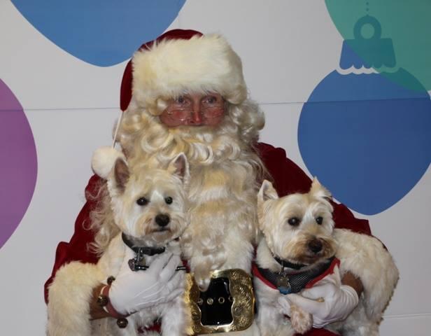 BringFido to Photos with Santa at Pet Supplies Plus