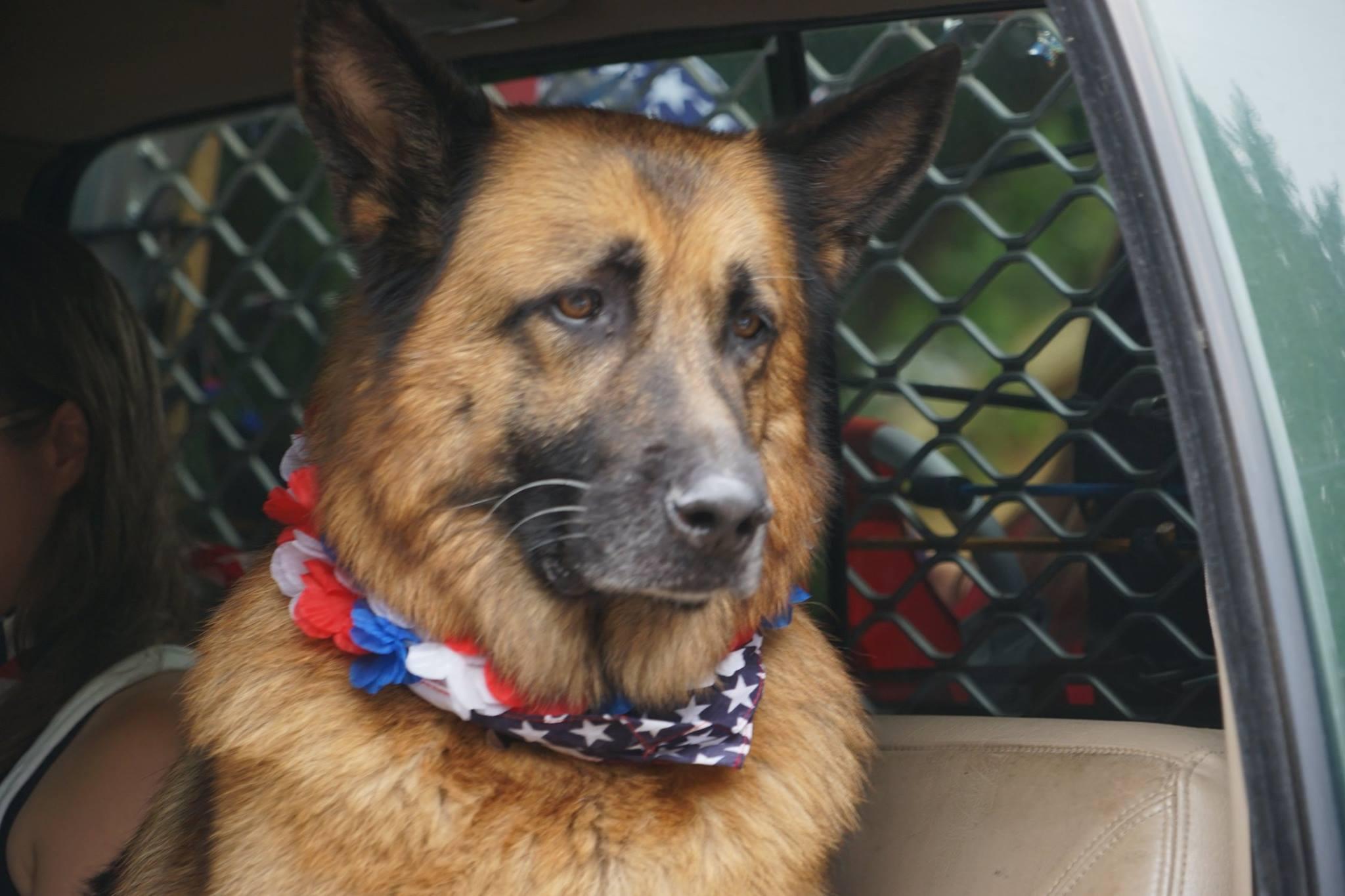 Pet Friendly Fourth of July in Cannon Beach