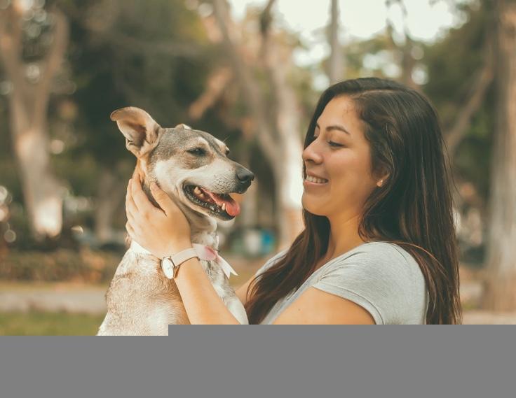 Pet Friendly Fridays in the Grove: Wag n Walk