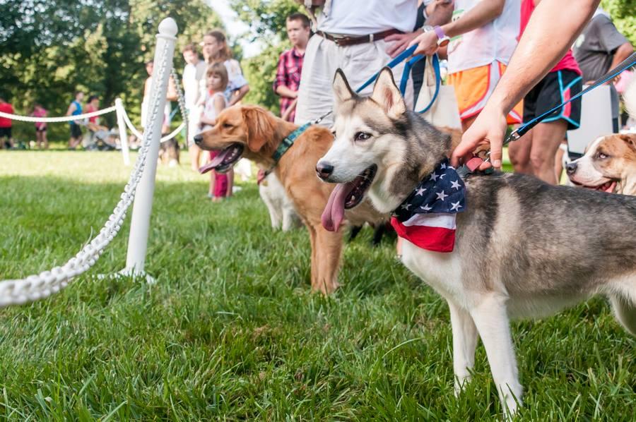 7th Annual Mutt Strut benefiting the Greenville Humane Society