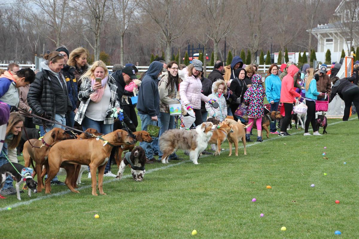 easter egg hunt for dogs near me