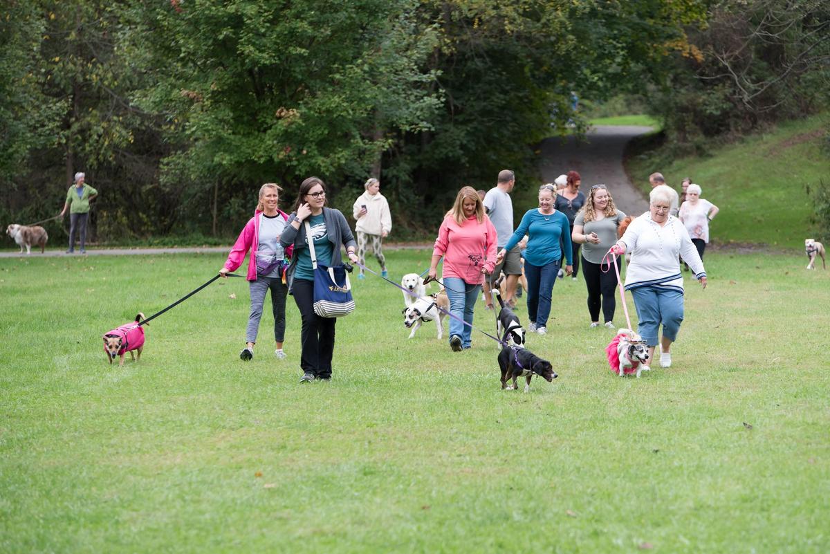 Bark in the Park 2023 Rescue Walk