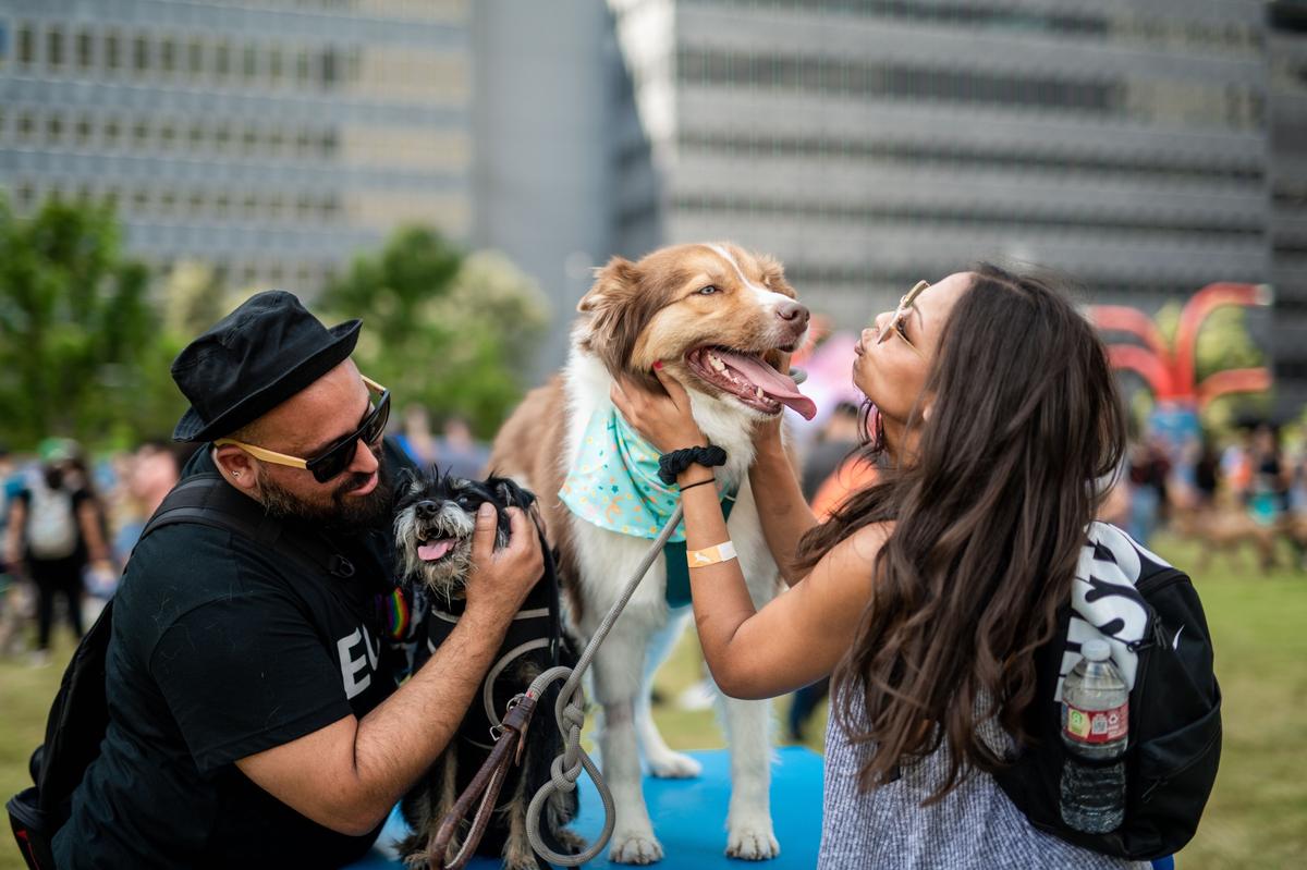 Puptopia Festival San Antonio at Travis Park - San Antonio Things