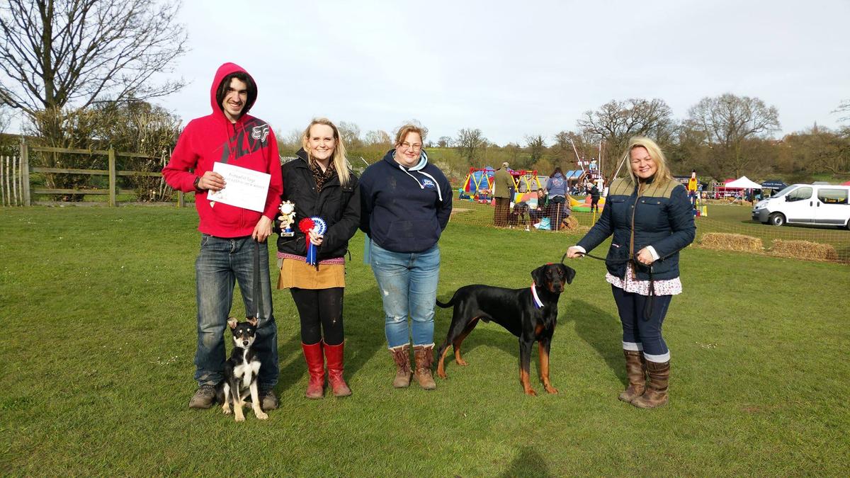 The Norfolk Festivals of Dogs