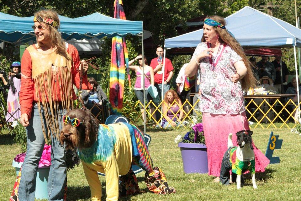 BringFido to Woofstock Dog Show