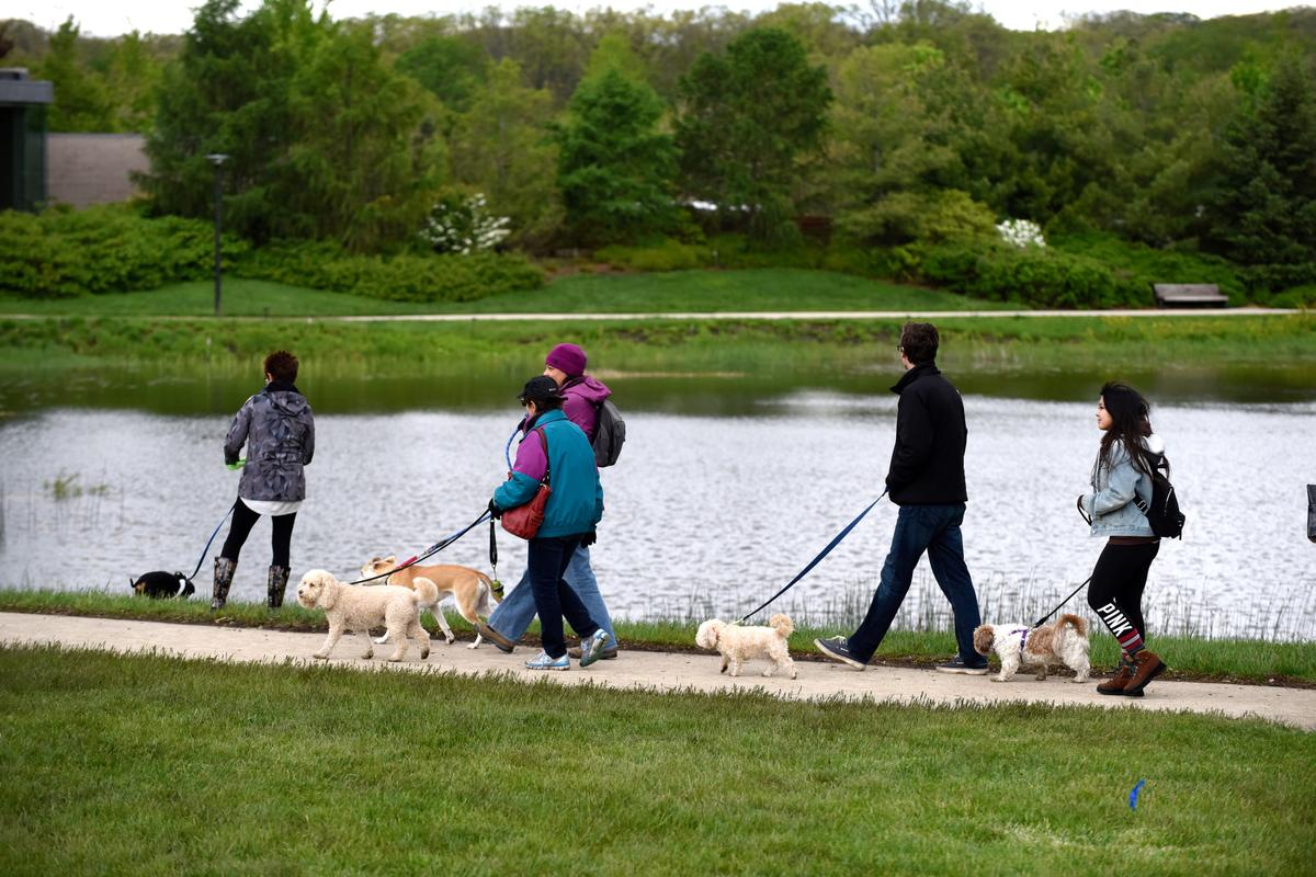 BringFido to Dog Admission Day at Morton Arboretum