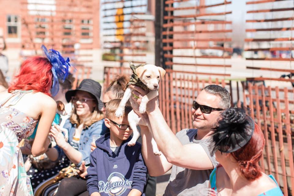 sunglasses green bay wi