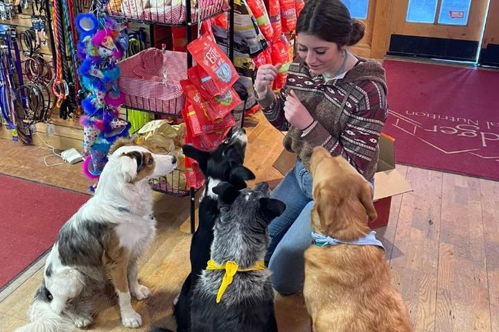 Pet Friendly Wine & Wags at Bridger Animal Nutrition