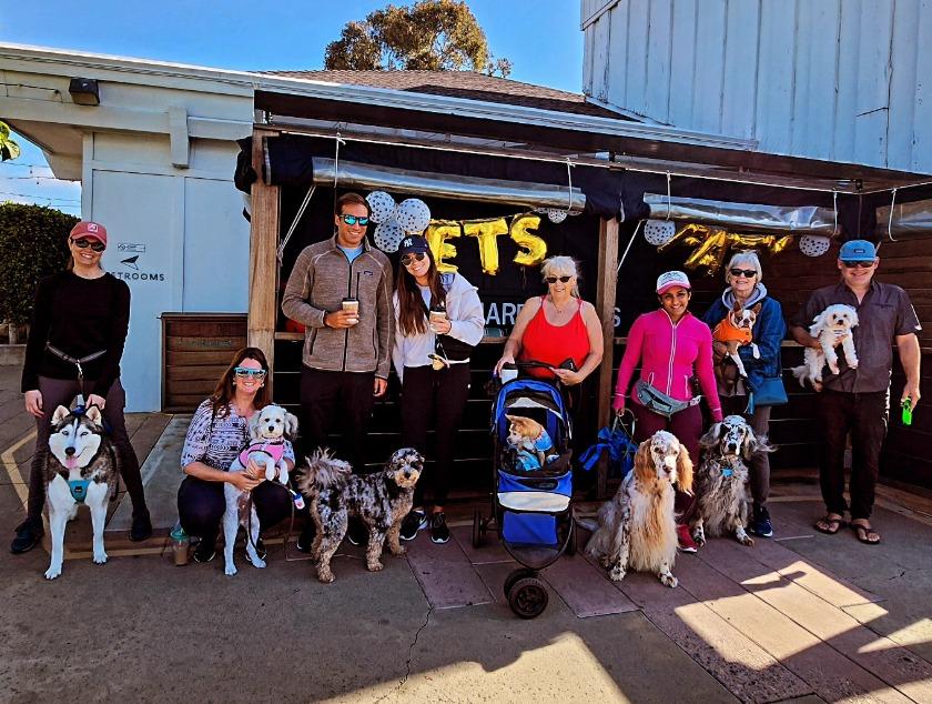 Pet Friendly Doggie Harbor Stroll