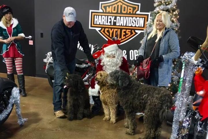 Pet Friendly Santa Paws at No Cages Harley-Davidson