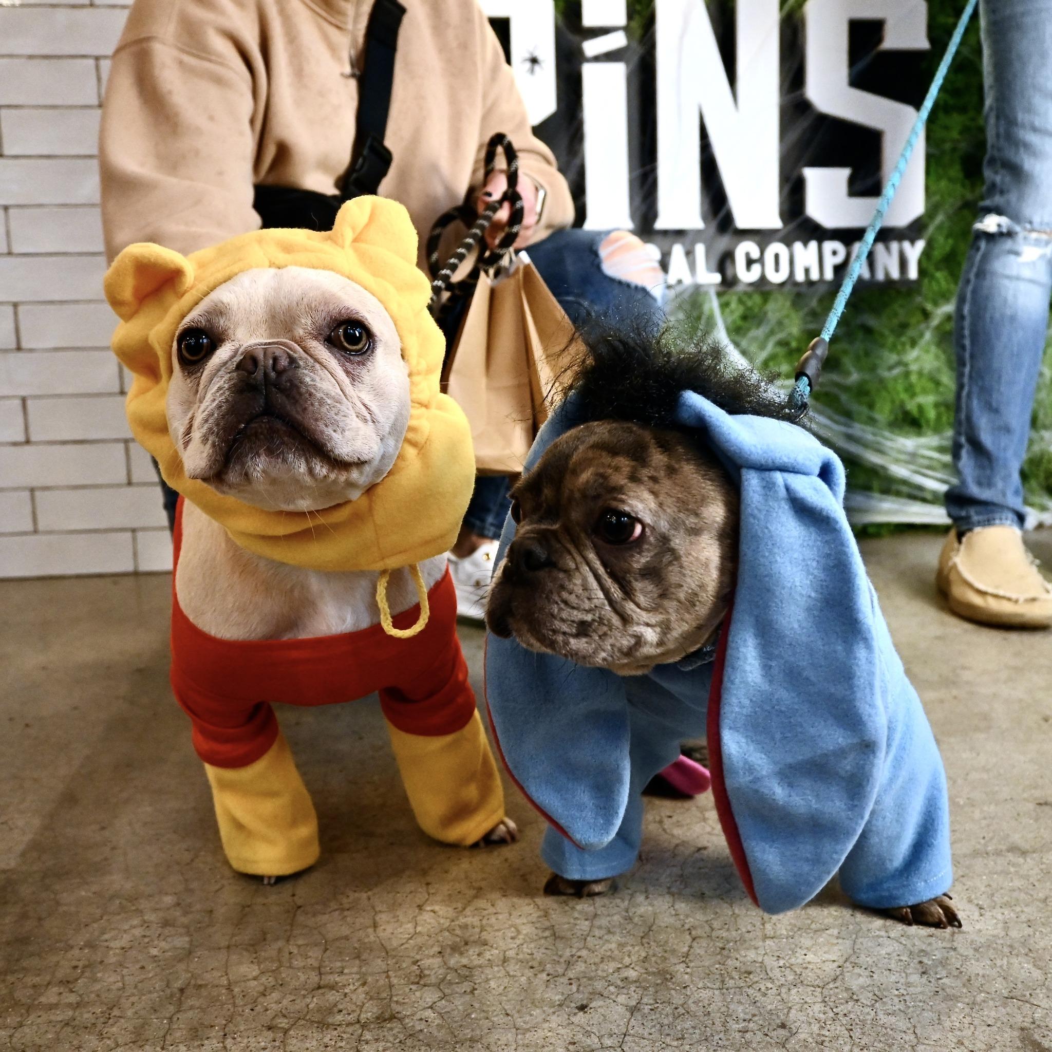 Pet Friendly Wag-O-Ween Costume Contest